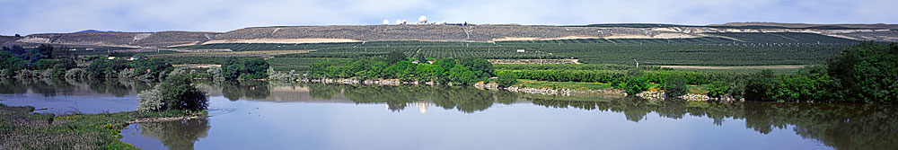 Buy this Russian Olive trees dapple the banks of the Okanogan River;  Veristar Satellite Dishes are on the hill picture
