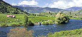 Orchards on the Wenatchee River; Central Cascades in the background