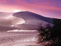 Death Valley Dunes at Sunset; Death Valley National Park