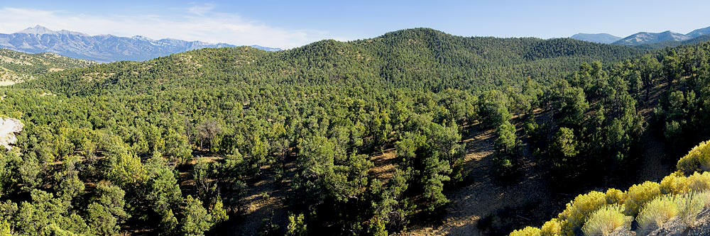 Humboldt-ForestNF-Panorama.jpg