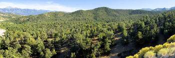 Humboldt Toiyabe National Forest in Nevada