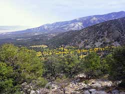 Humboldt Toiyabe National Forest from Wheeler Peak Overlook