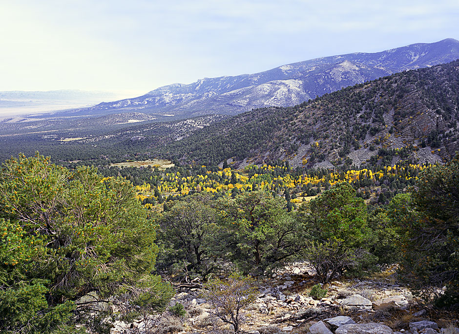 Buy this Humboldt-Toiyabe National Forest from Wheeler Peak Overlook picture