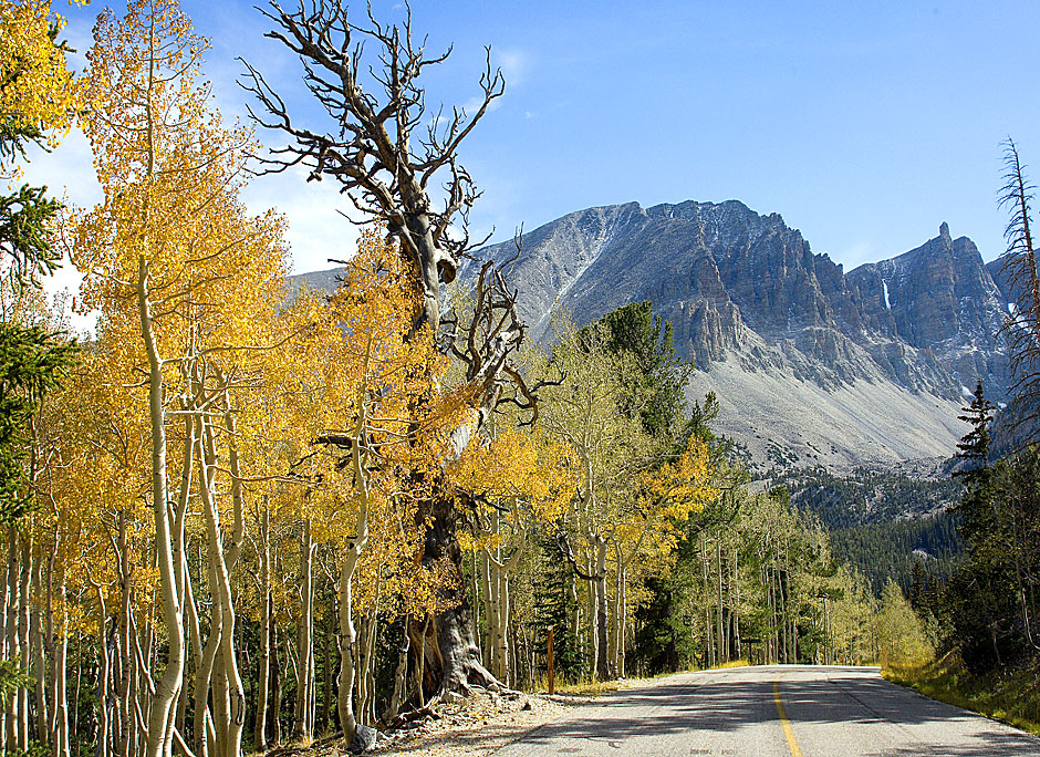 Buy this Jeff Davis Peak in the Snake Range - 12771 ft picture