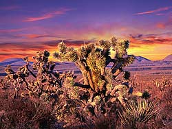 Mojave Desert Sunset (Avawatz Mountains)