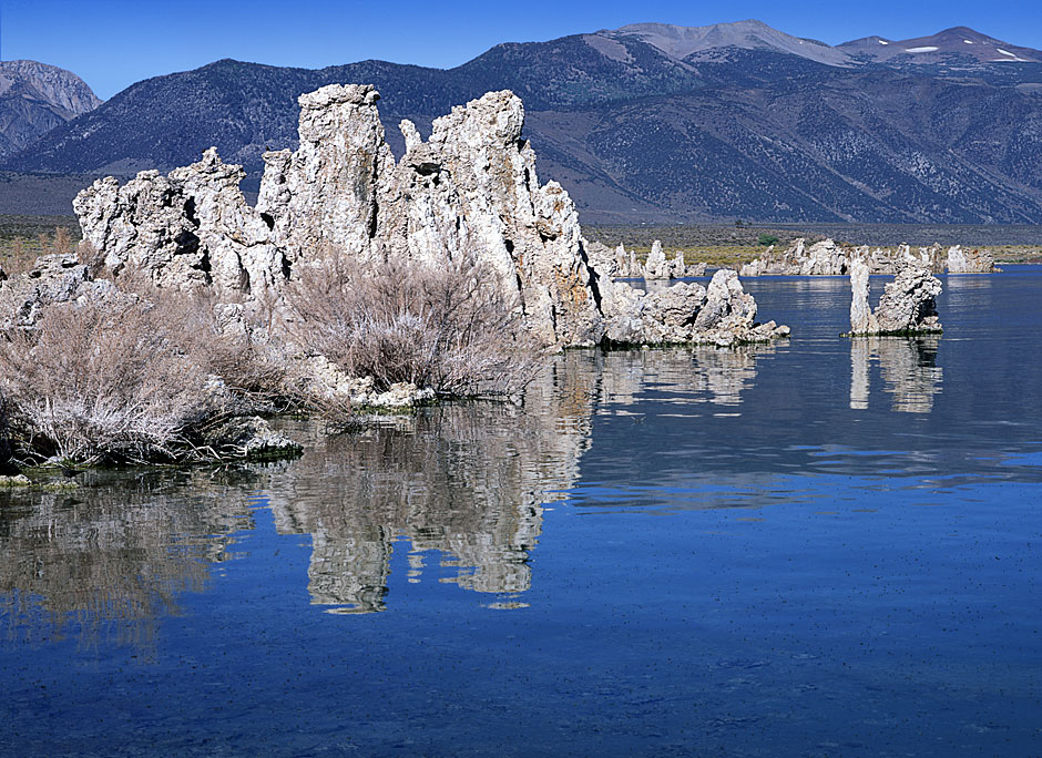 Buy this Mono Lake Tufa Reserve; 30 ft columns of limestone precipitated in playa lake picture