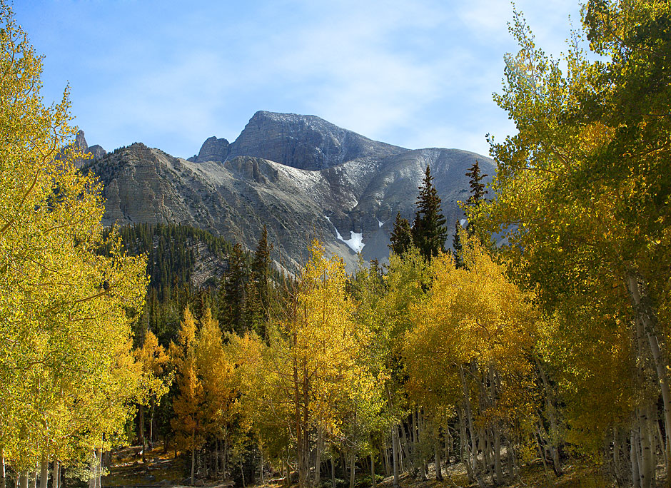 Buy this Mt Wheeler in Fall Color-Tallest Mt in Snake Range 13,063 ft picture