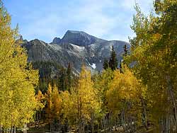 Mt Wheeler in Fall Color-Tallest Mt in Snake Range 13,063 ft