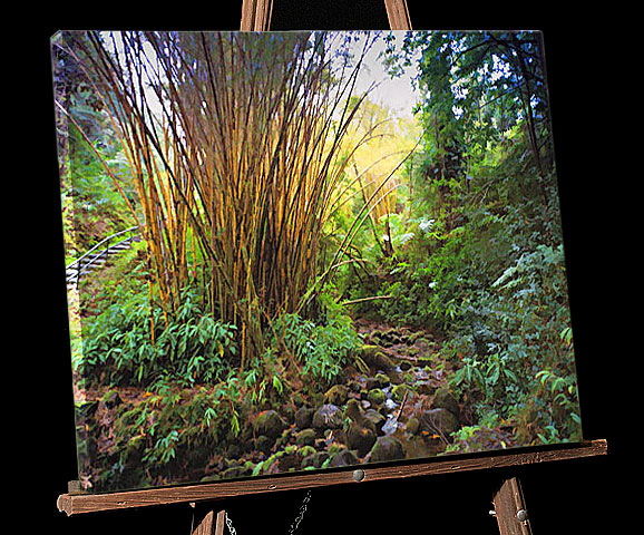 Hawaii Big Isle Painting; Bamboo at Botannical Tropical Garden near Hilo