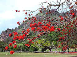 Kualoa Park in Oahu, Hawaii