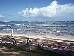 Malaekahana sea shore in Oahu, Hawaii