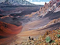 Silversword=rare plant found in Mt Haleakala - scenic pictures of Maui