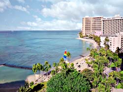 Oahu Resort, Hawaii - palm trees