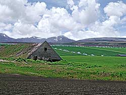 Soldier Mts. in Idaho Potato Cellar in Idaho Falls, Agriculture