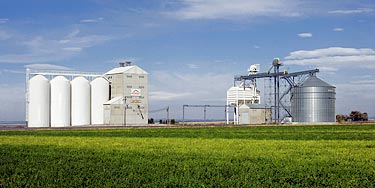 Barley Elevator in Magic Valley