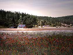 Squaw Creek Meadow on Lake Coeur d'Alene in Idaho