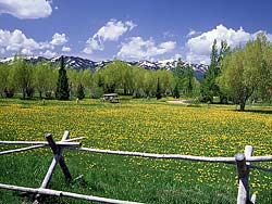 Teton Mountains in Victor, ID