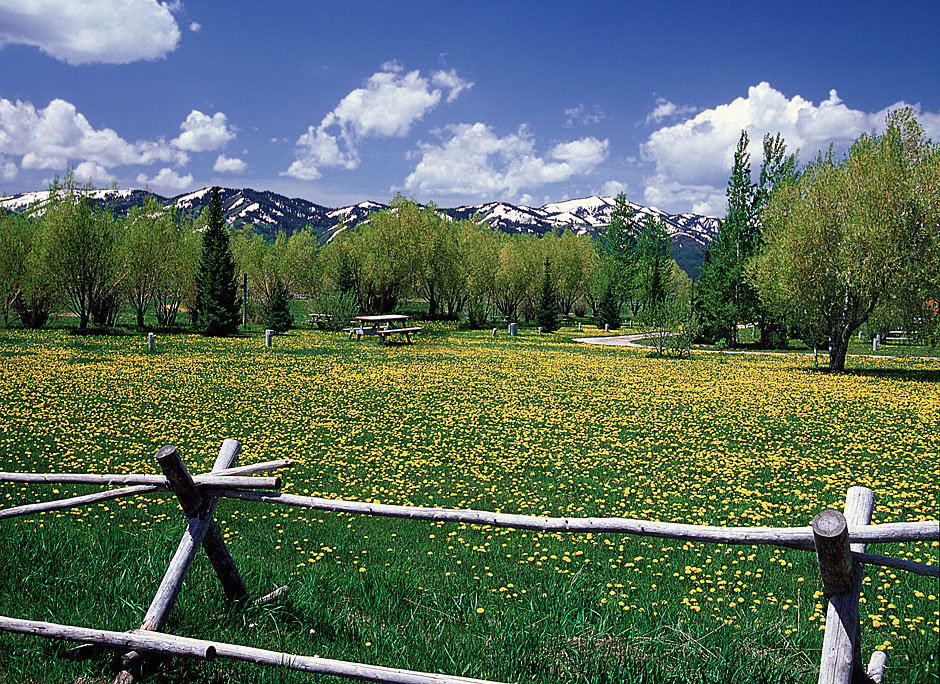 Buy this Teton Mountains in Victor, ID picture