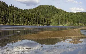 near Chatcolet, South of Coeur d'Alene