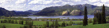 Swan Lake in Medimont; South of Coeur d'Alene