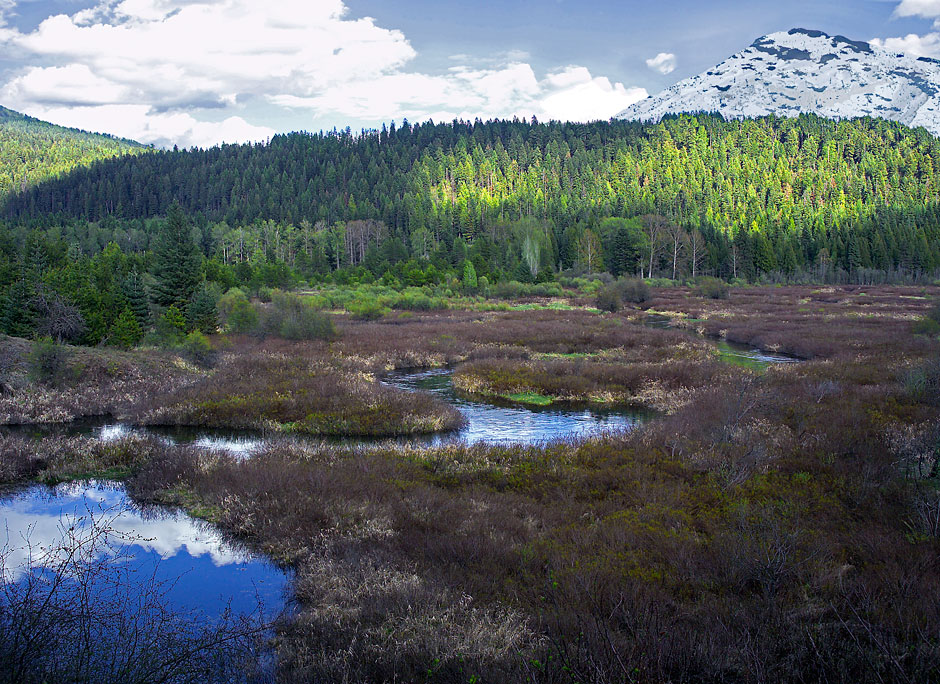 Buy this Coolin, Idaho  in the Panhandle picture