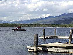 Kaniksu National Forest; Coolin, Idaho