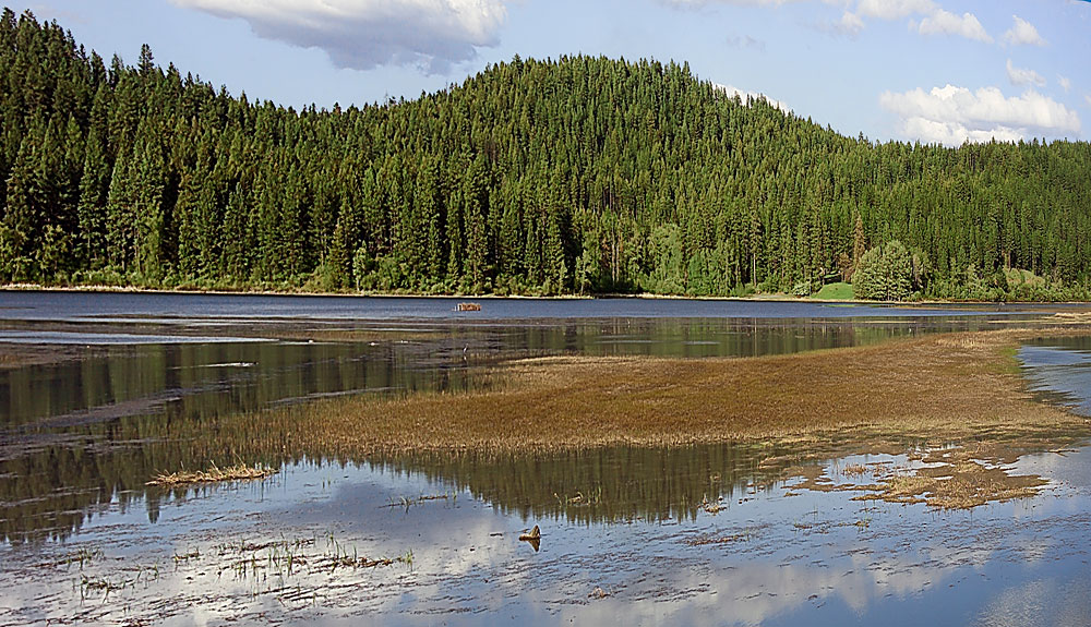Buy this Idaho scenery - near Chatcolet, South of Coeur d'Alene picture