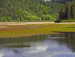 Round Lake near Chatcolet; South of Coeur d'Alene