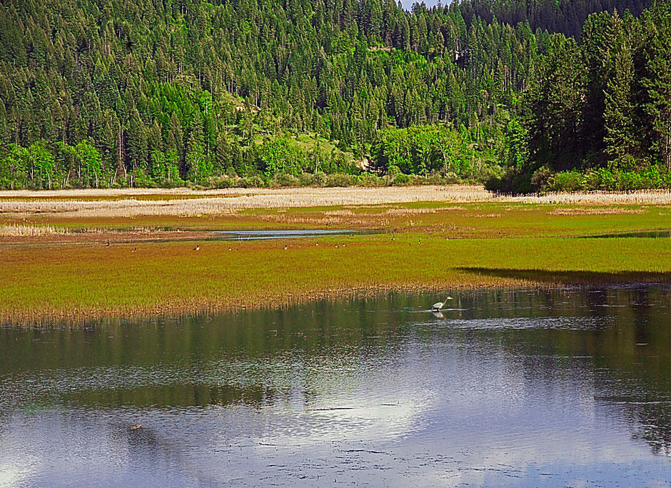 Buy this Round Lake near Chatcolet; South of Coeur d'Alene picture