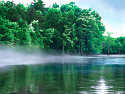 Steam Rising off the Black Bayou - near Shreveport Louisiana