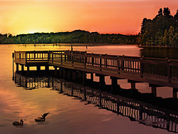 Brown Pelicans in the morning sun at Black Bayou Pier in Hosston near Shreveport LA