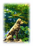 Plantation Guard Dog - Watercolor
