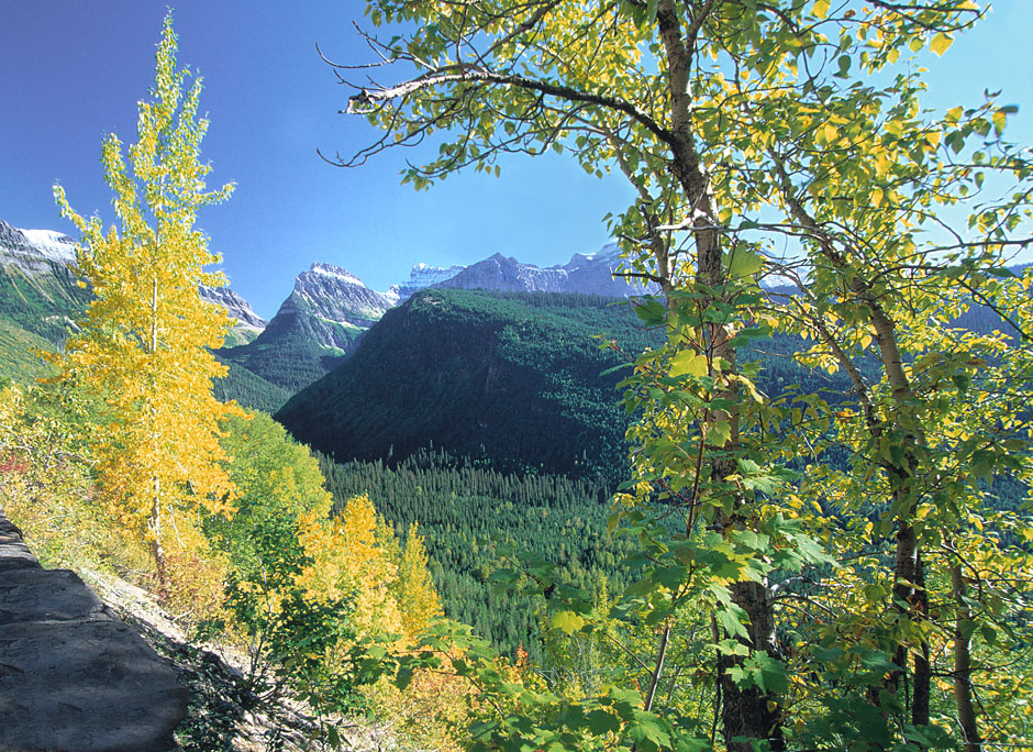 Buy this Going-to-the-Sun Road - Montana photograph