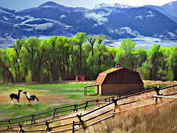 Gallatin Hills Horses at North Yellowstone, Montana