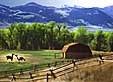 1173 Gallatin Hills Horses