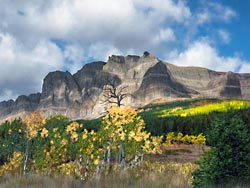 Sherburne Rockies from Many Glaciers Road in Glacier National Park