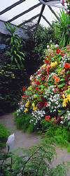 Butchart Gardens - The Greenhouse - Part 1