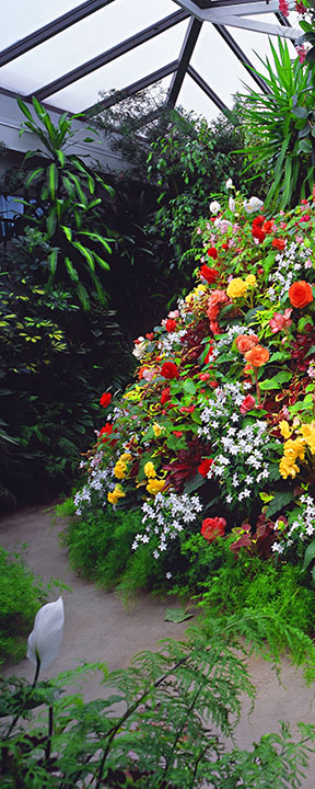 Butchart Gardens - The Greenhouse - Part 1