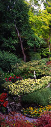 Butchart Gardens - Horizontal Landscape - Part 1