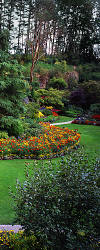 Butchart Gardens - Horizontal Landscape - Part 3