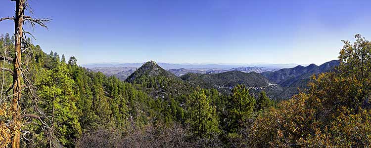 Emory Pass panorama in the Gila National Forest; a Mimbres Mountains picture from New Mexico