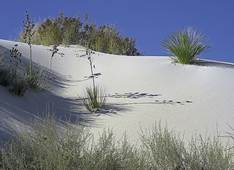 Buy this San Andres Mts, Sacramento Mts, and the Tularosa Basin (White Sands National Monument) photograph