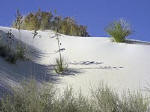 San Andres Mts, Sacramento Mts, and the Tularosa Basin (White Sands National Monument)