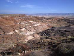 Entrada Red Sandstone makeup Nazlini Painted Hills