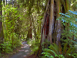 Rasar Park near Sedro Wooley in Skagit County