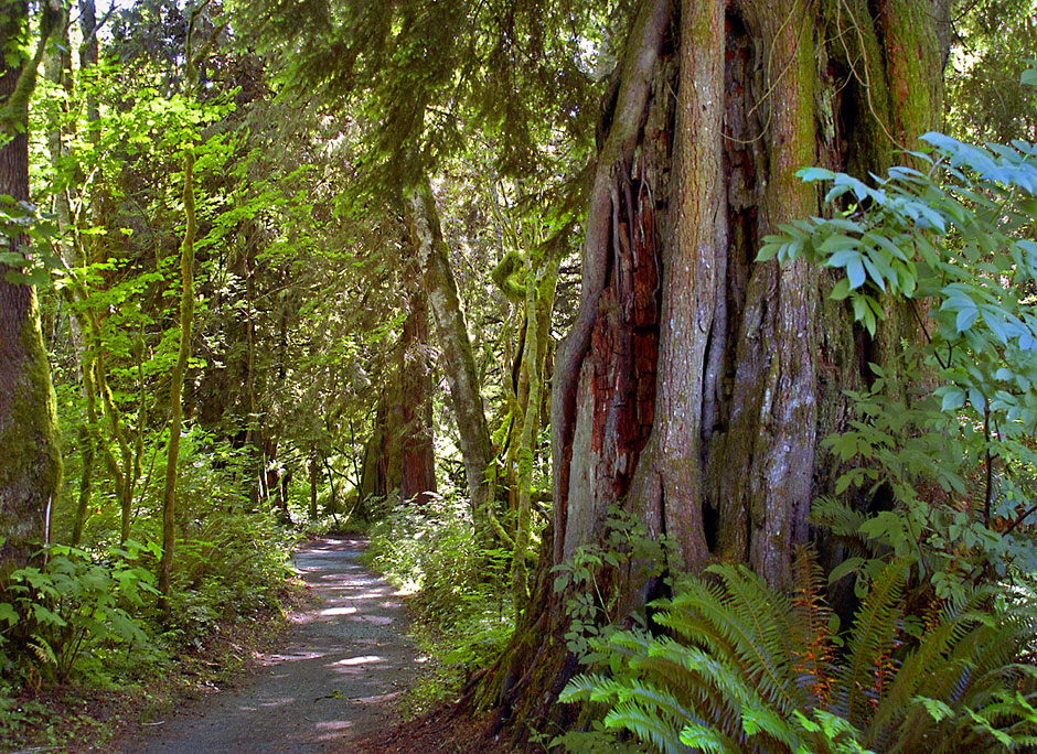 Rasar Park near Sedro Wooley in Skagit County, Washington