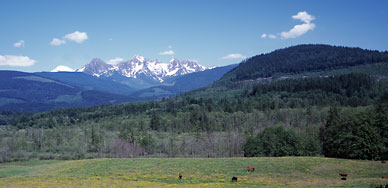 Washington's North Cascades - Snoqualmie forest near Bellingham