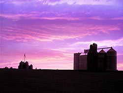 rural sunsets - Grain Bins near Moscow Idaho