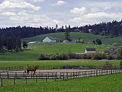 This farm is close to Mt. Spokane in the Spokane Valley region