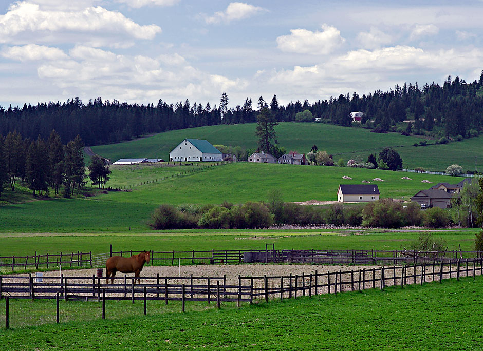 Buy This farm is close to Mt. Spokane in the Spokane Valley region photograph